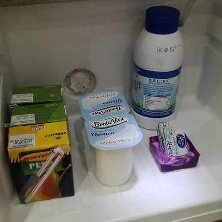 Vatican Holidays 招待所 罗马